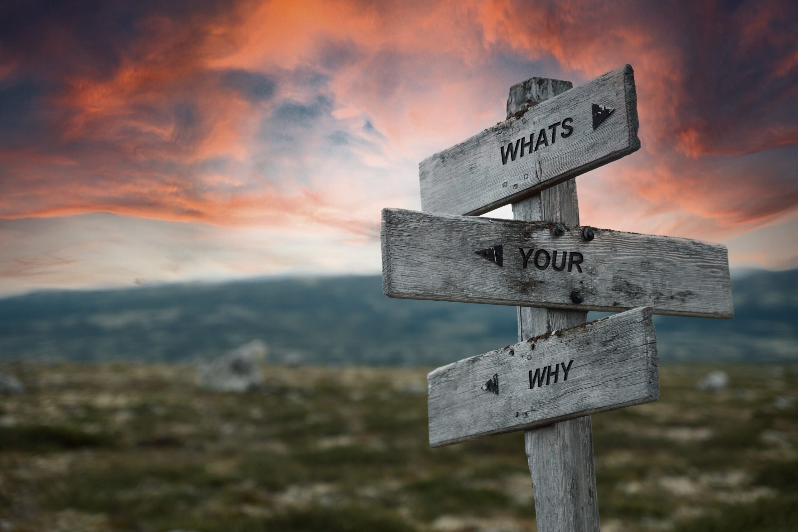 A rustic wooden signpost stands in an open field at sunset, with three directional arrows reading 