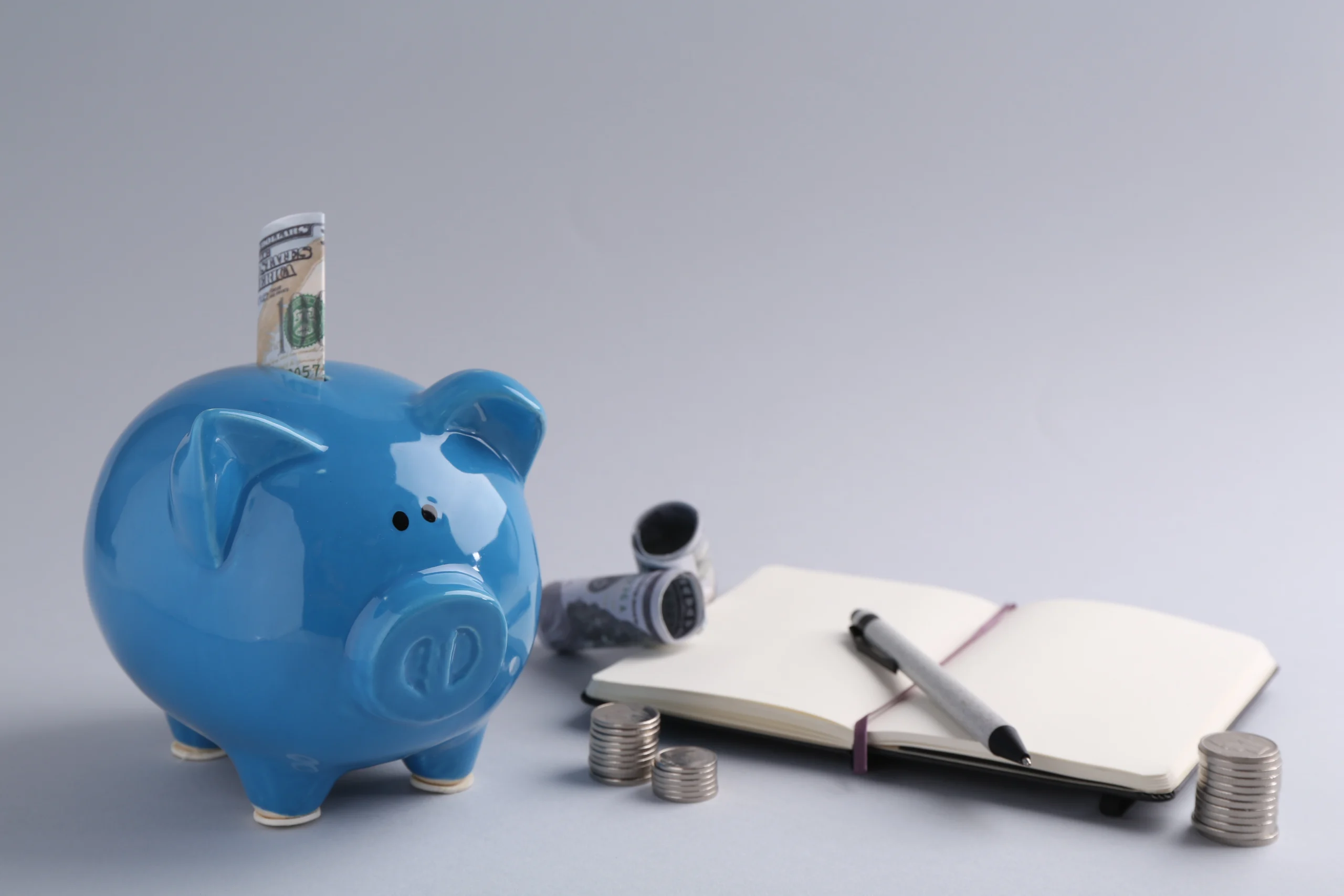 Reliable Prices For San Francisco Bay Area Plumbing Repairs Facilities Plumbing And Drain A blue piggy bank with a bill sticking out, standing next to an open book, indicating the savings and reliability of Facilities Plumbing & Drain’s prices