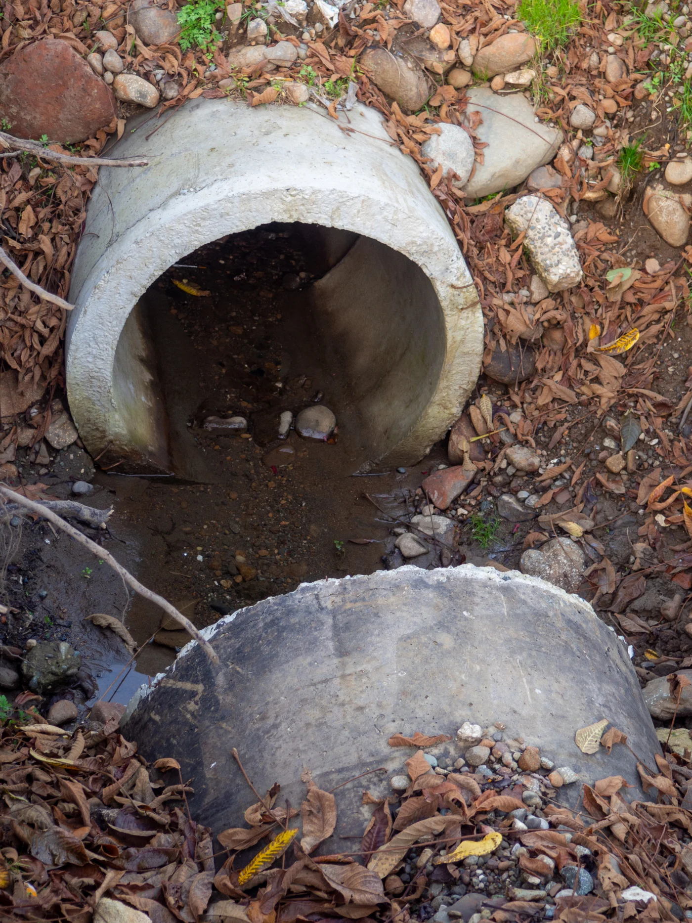 A concrete sewer line in a backyard.