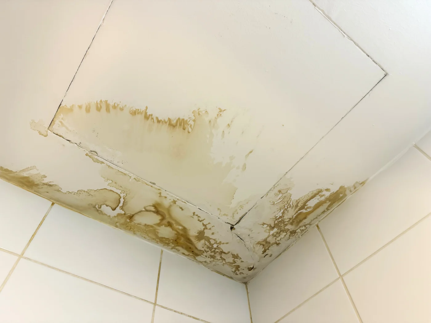 Water-stained ceiling panel and wall corner showing brown moisture damage from a leak above.