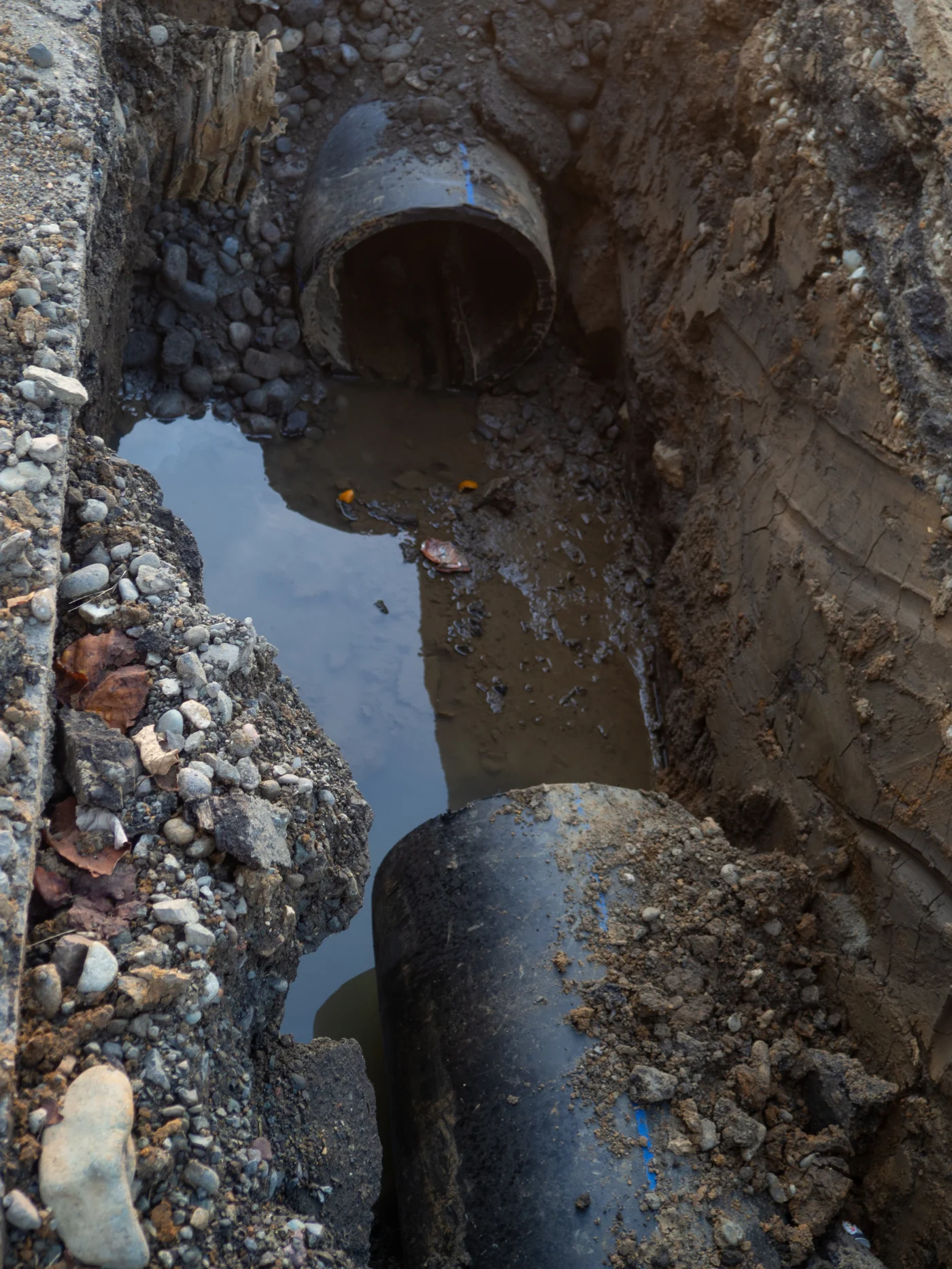 Trusted Sewer Replacement San Mateo Ca Facilities Plumbing And Drain